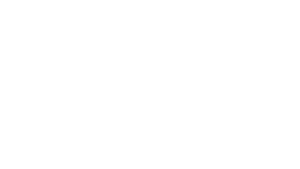 DemonicDivine Logo